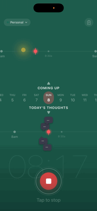 Capture It screenshot