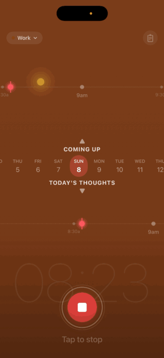 Capture It screenshot