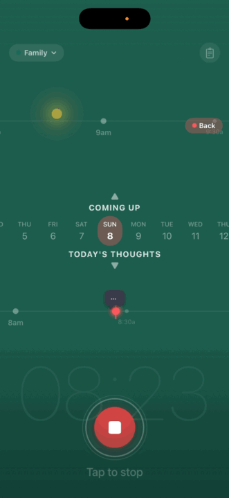 Capture It screenshot